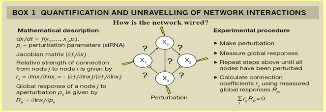 Network Interaction